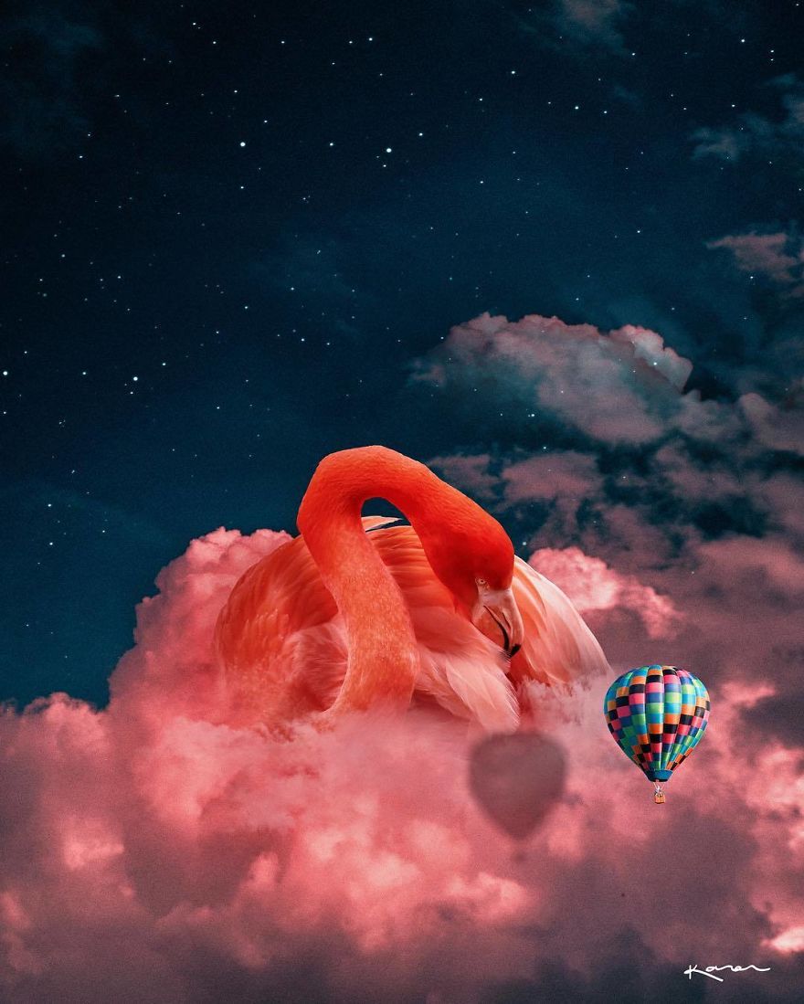 Surreal-Images-Digital-Art-Karencantuq