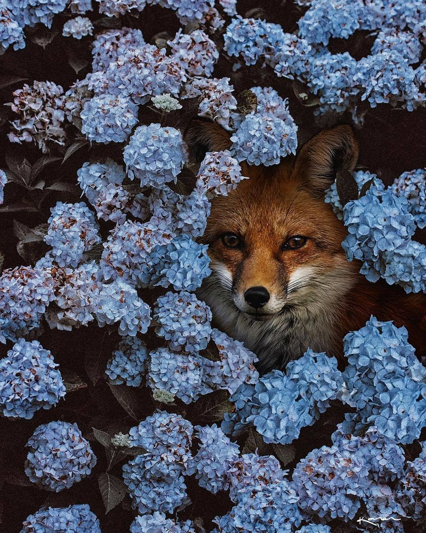 Surreal-Images-Digital-Art-Karencantuq