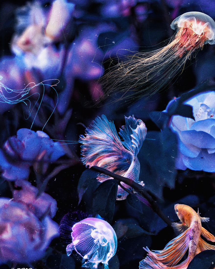 Surreal-Images-Digital-Art-Karencantuq