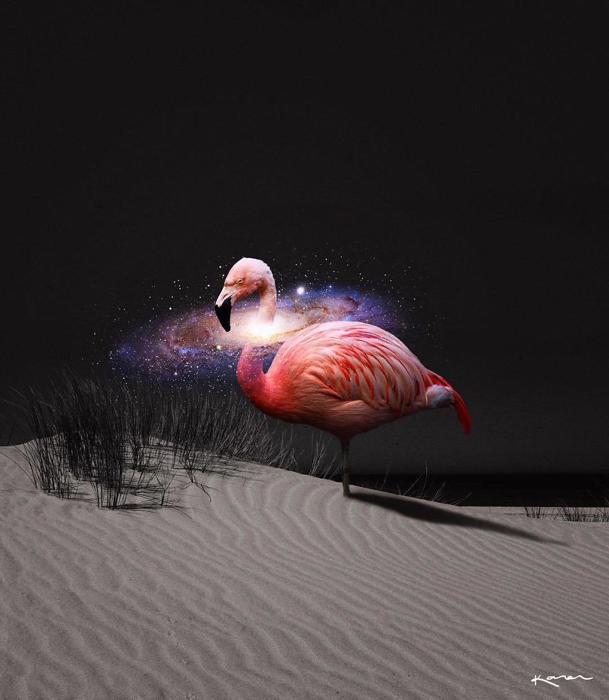 Surreal-Images-Digital-Art-Karencantuq