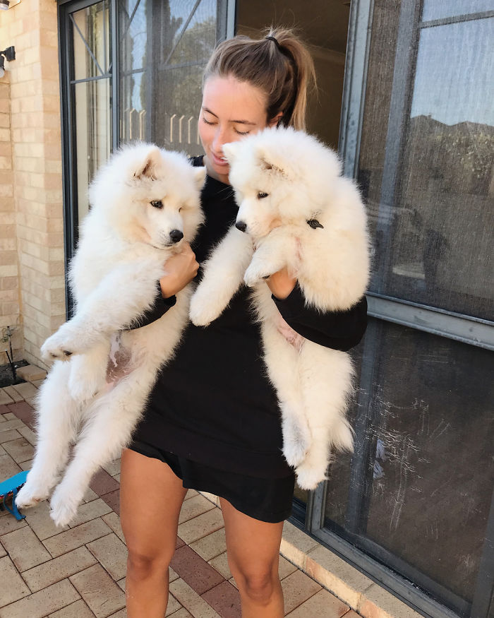 Mumma Says We Aren’t Little Puppers Anymore