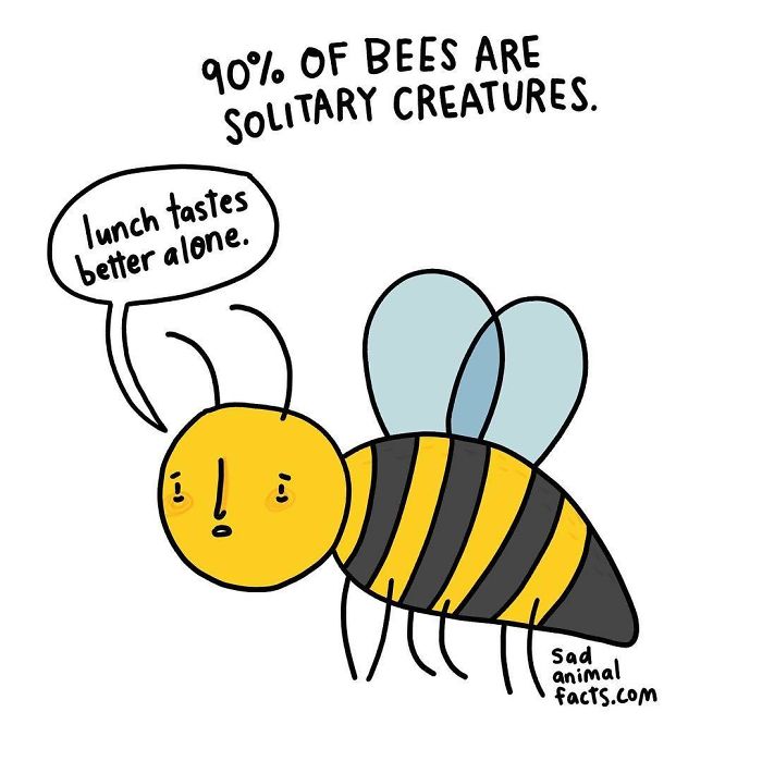Illustration of a sad bee with text about solitary creatures, highlighting sad animal facts and lonely behavior in animals.