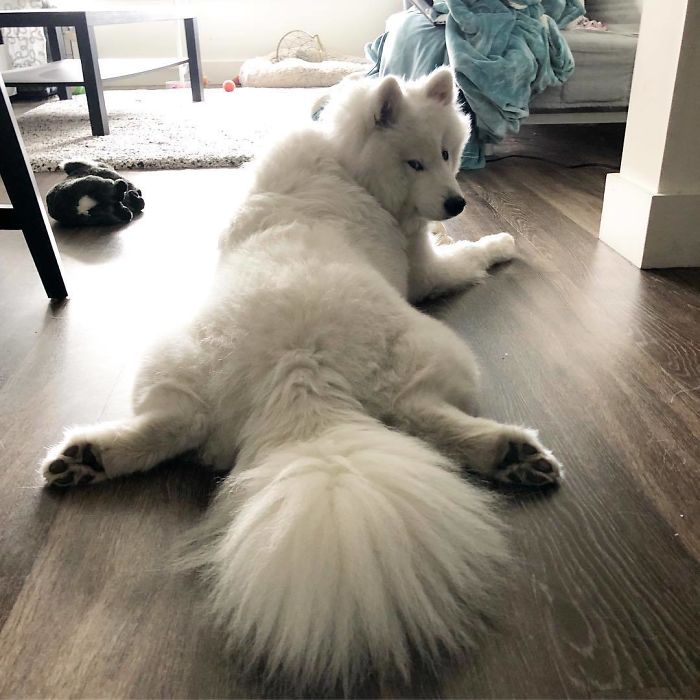 What Are You Looking At?