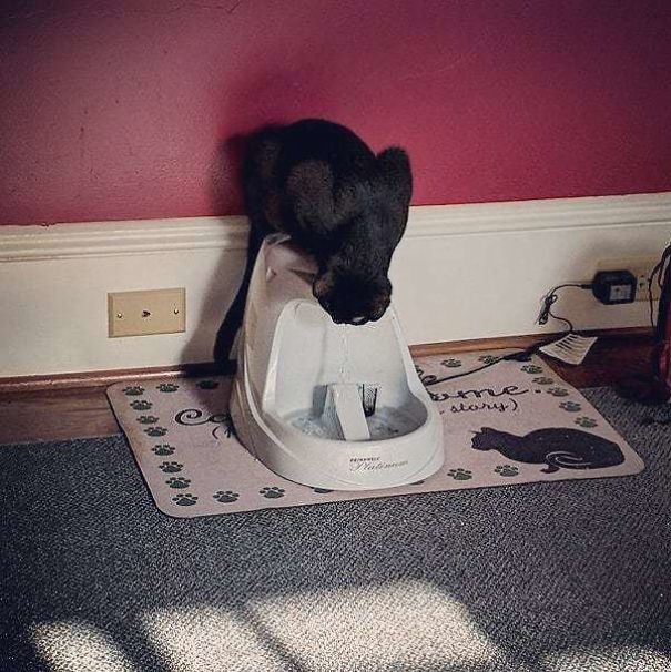 Tolbert Is So Sweet, But He's Also Real, Real Dumb