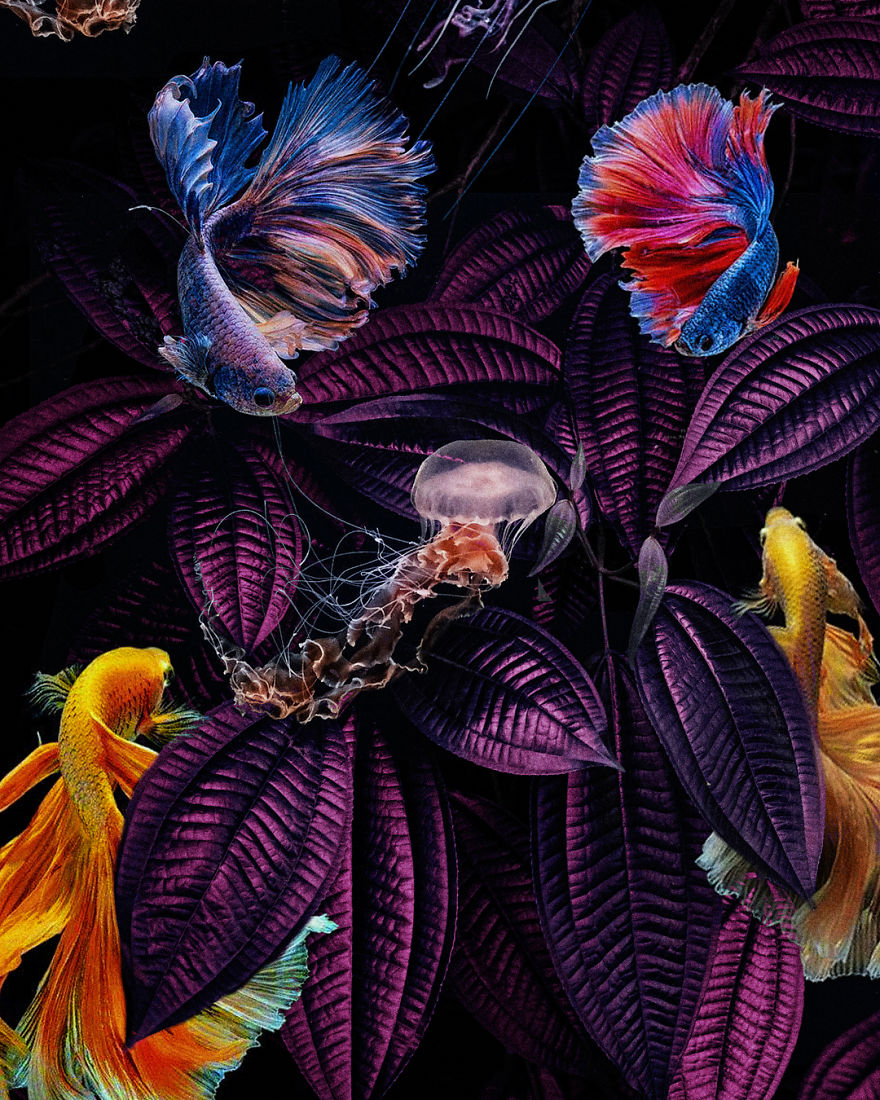 Surreal-Images-Digital-Art-Karencantuq