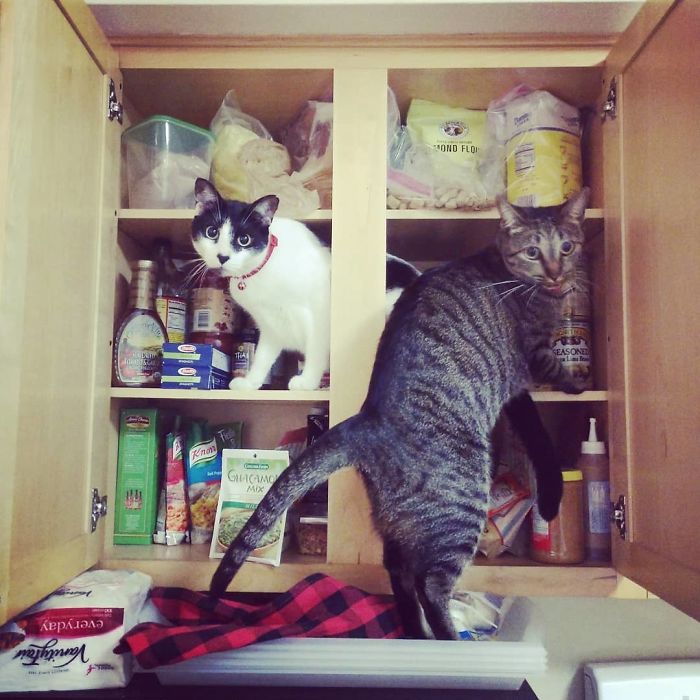 What In The Hell Are You Guys Doing?