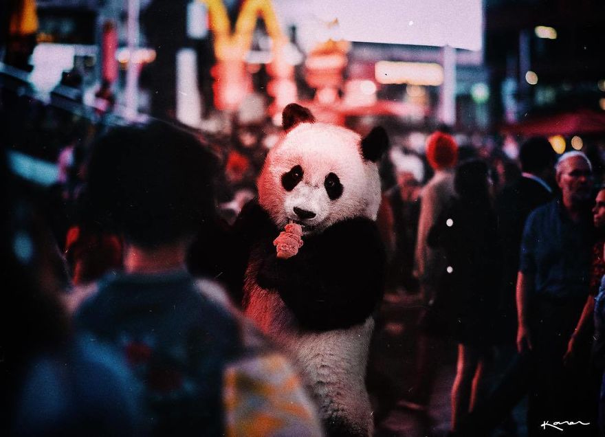 Surreal-Images-Digital-Art-Karencantuq