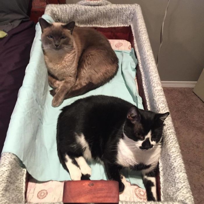 Well, At Least They Are Comfortable