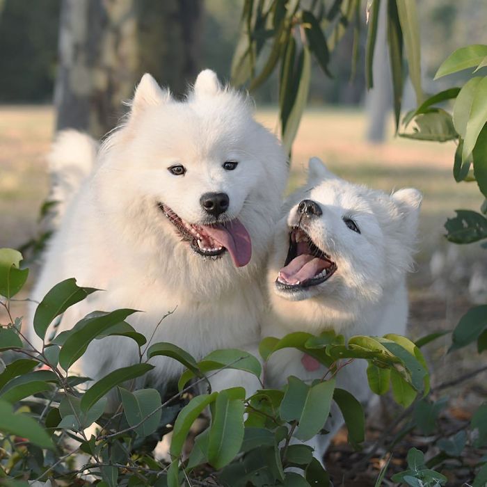 That Face You Make When You Love Your Big Sister So Much, You Just Want To Bite Her Face