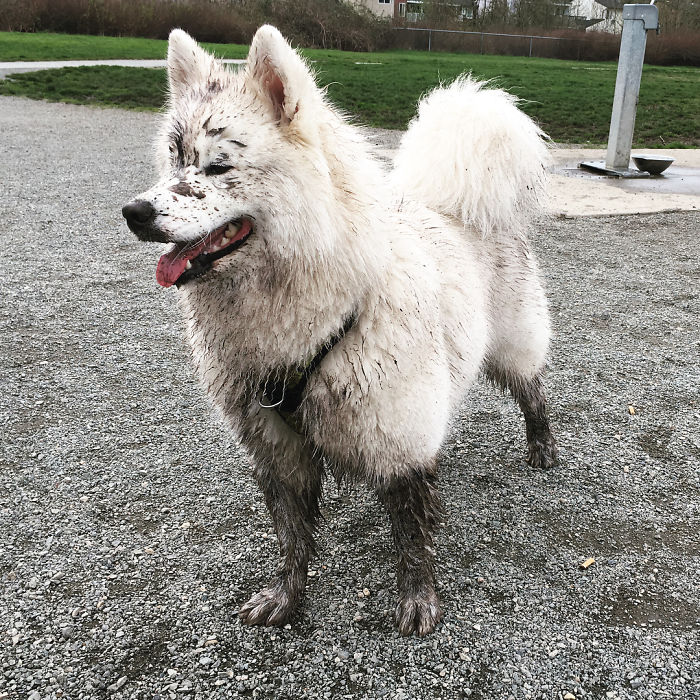 Believe It Or Not But I Was Perfectly Clean Just A Minute Ago