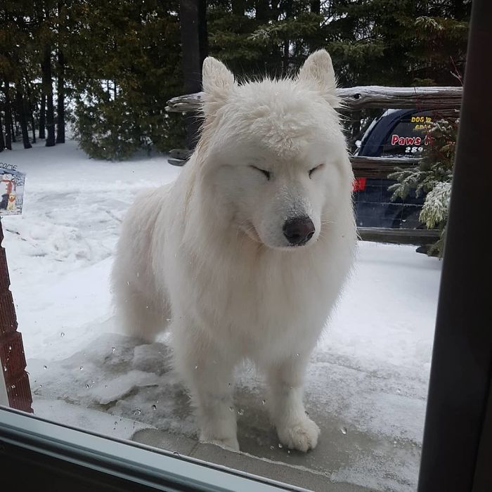 Gonna Close My Eyes Now. When Iz Open Them, All This Ice Will Be Gone. K?