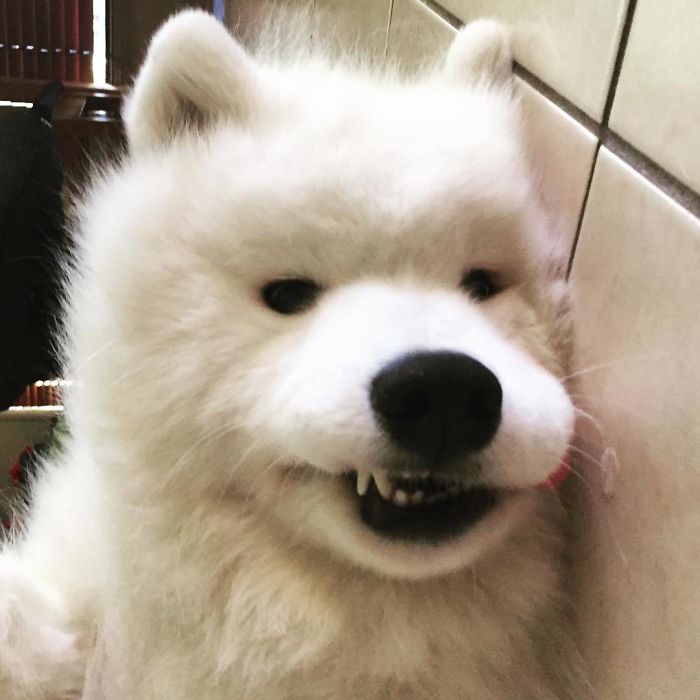 I Always Sleep On My Back Or Side With My Mouth Open With My Tongue Hanging Out. Letting Saliva Drip Freely