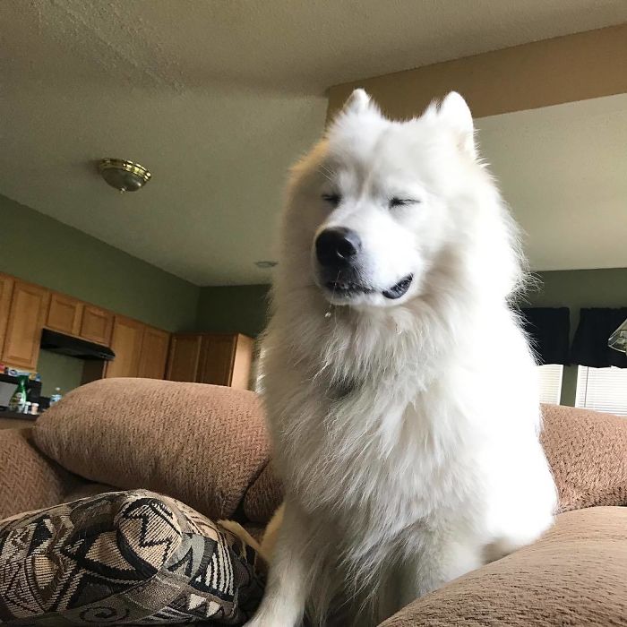 Majestic One This Is. With A Snot And All