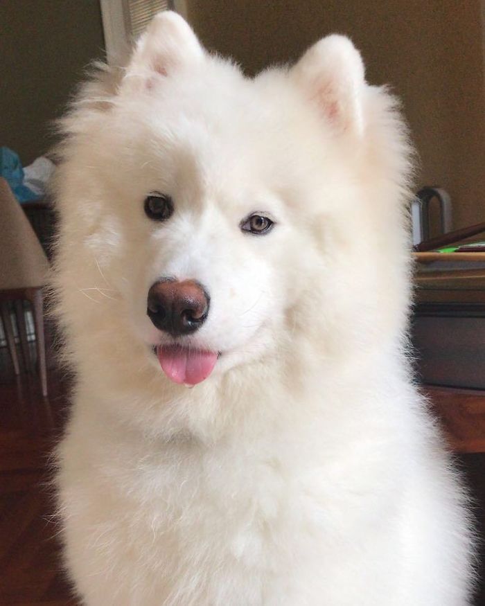 I’m Feeling My Age - 8 Months