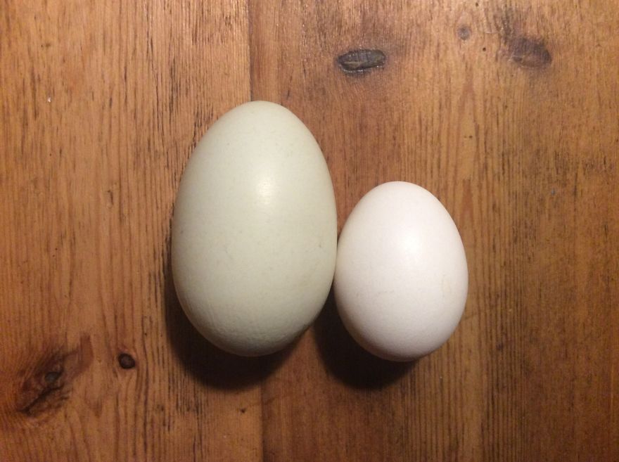 People, Places And Things People, Places And Things