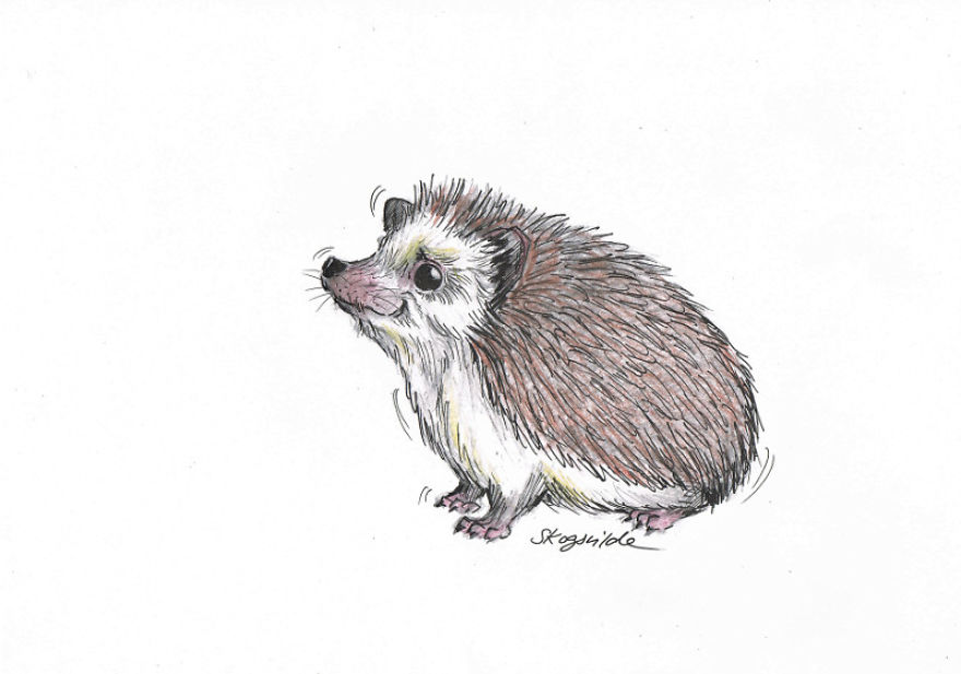 So Here I Go Again. Paper, Yes. Pencil, Yes. A Touch Of Skogsvilde, Yes Absolutely!