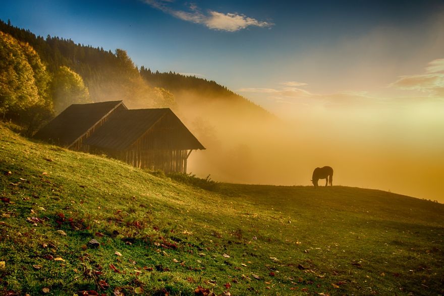 20+ Reasons To Visit Slovenia If You're A Photographer (In Pictures)
