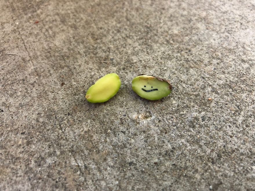 I Draw On Rocks :) I Draw On Rocks :)