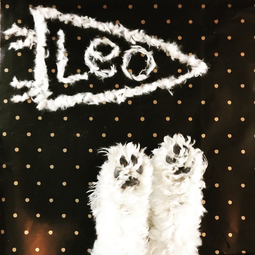 Our Dog Leo Loves Grooming And We Love Making Art From His Hair Our Dog Leo Loves Grooming And We Love Making Art From His Hair