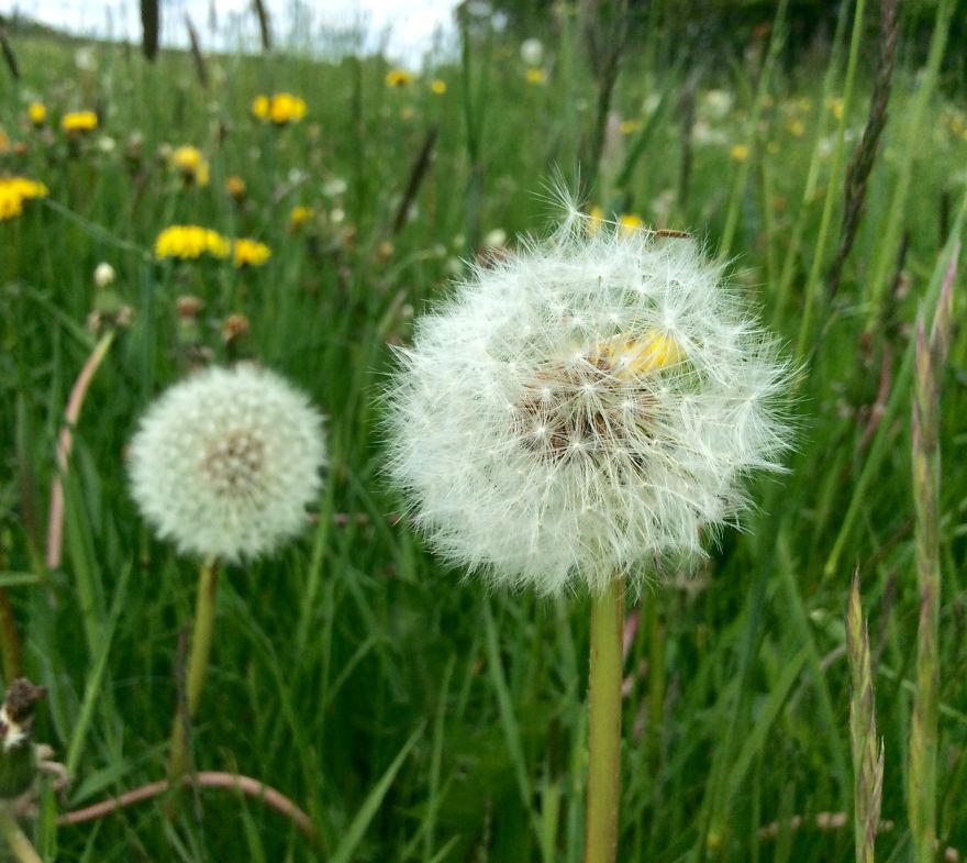 People, Places And Things