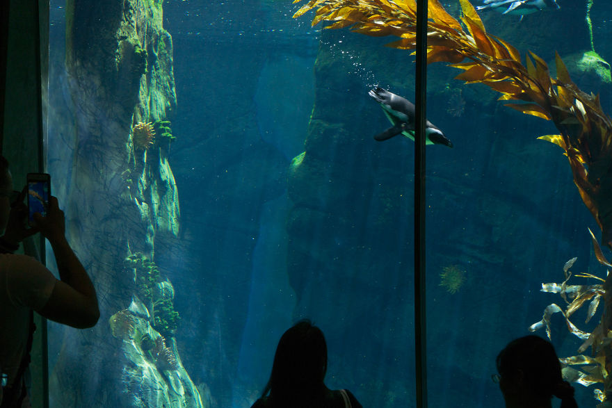 Zoo From My Point Of View.