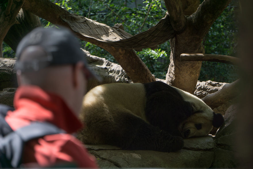 Zoo From My Point Of View.