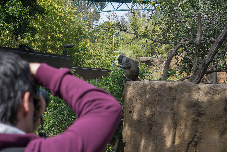 Zoo From My Point Of View.