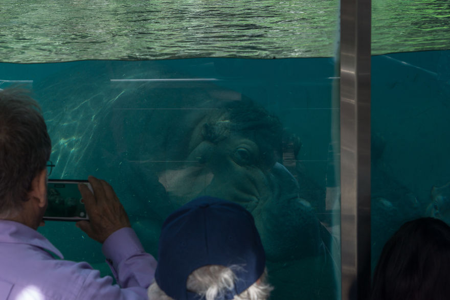 Zoo From My Point Of View.