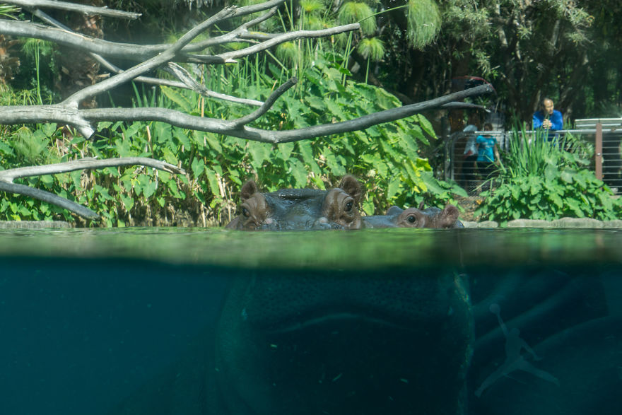 Zoo From My Point Of View.