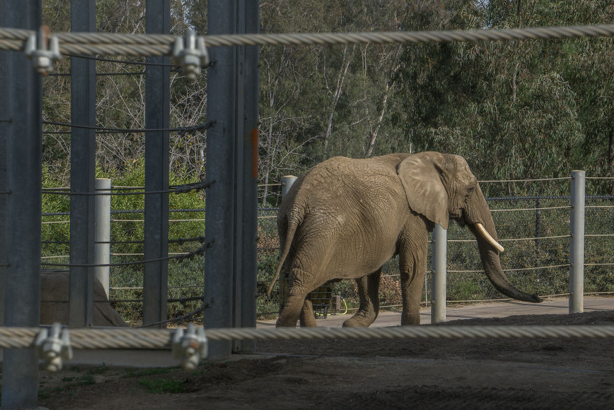 Zoo From My Point Of View.