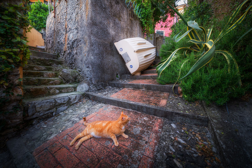 I Photographed The Little Streets Of Italy And It Looks Like A Fairytale