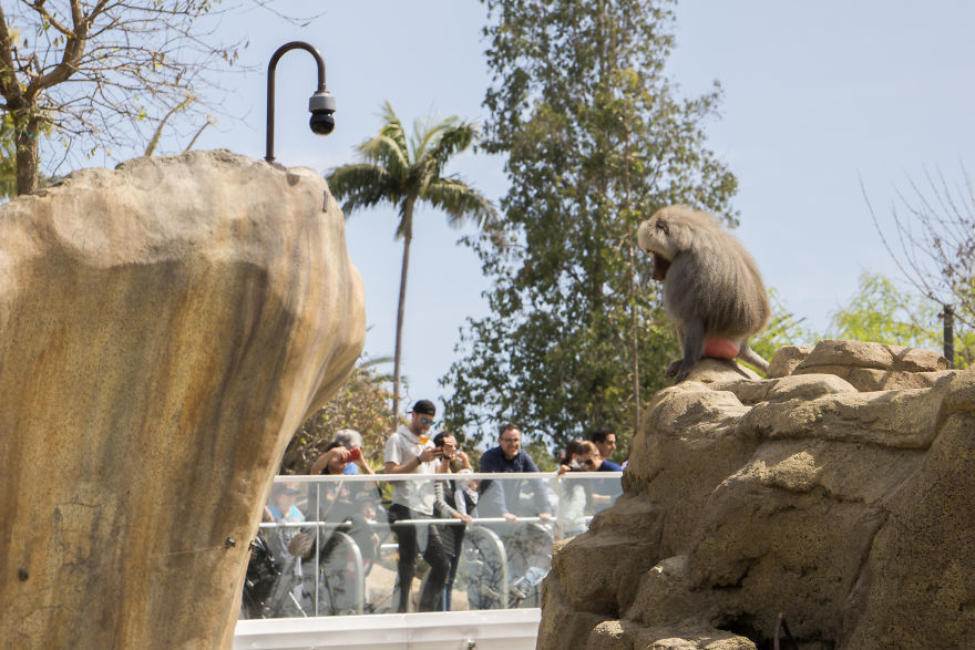 Zoo From My Point Of View.