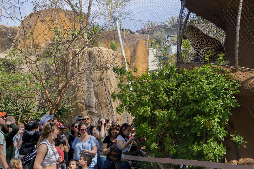 Zoo From My Point Of View.