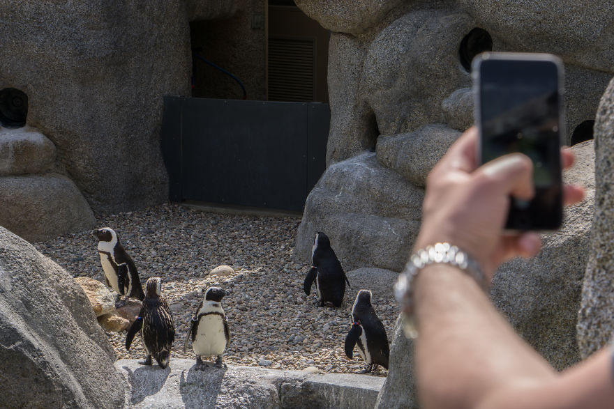 Zoo From My Point Of View. Zoo From My Point Of View.