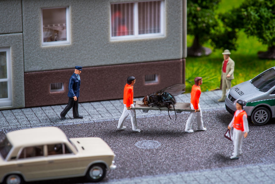 Mrs. Fly Jumped Down