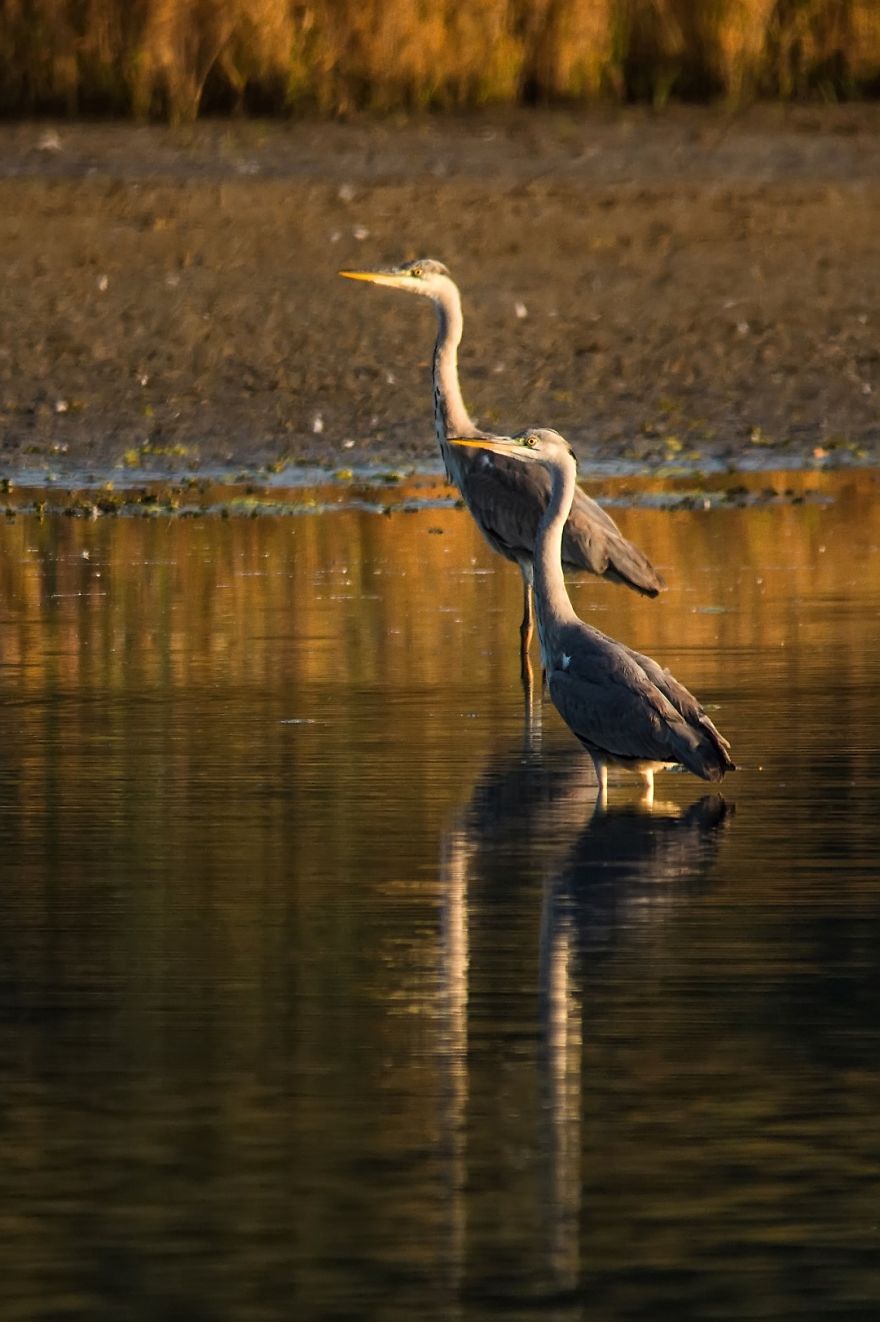 20+ Reasons To Visit Slovenia If You're A Photographer (In Pictures)