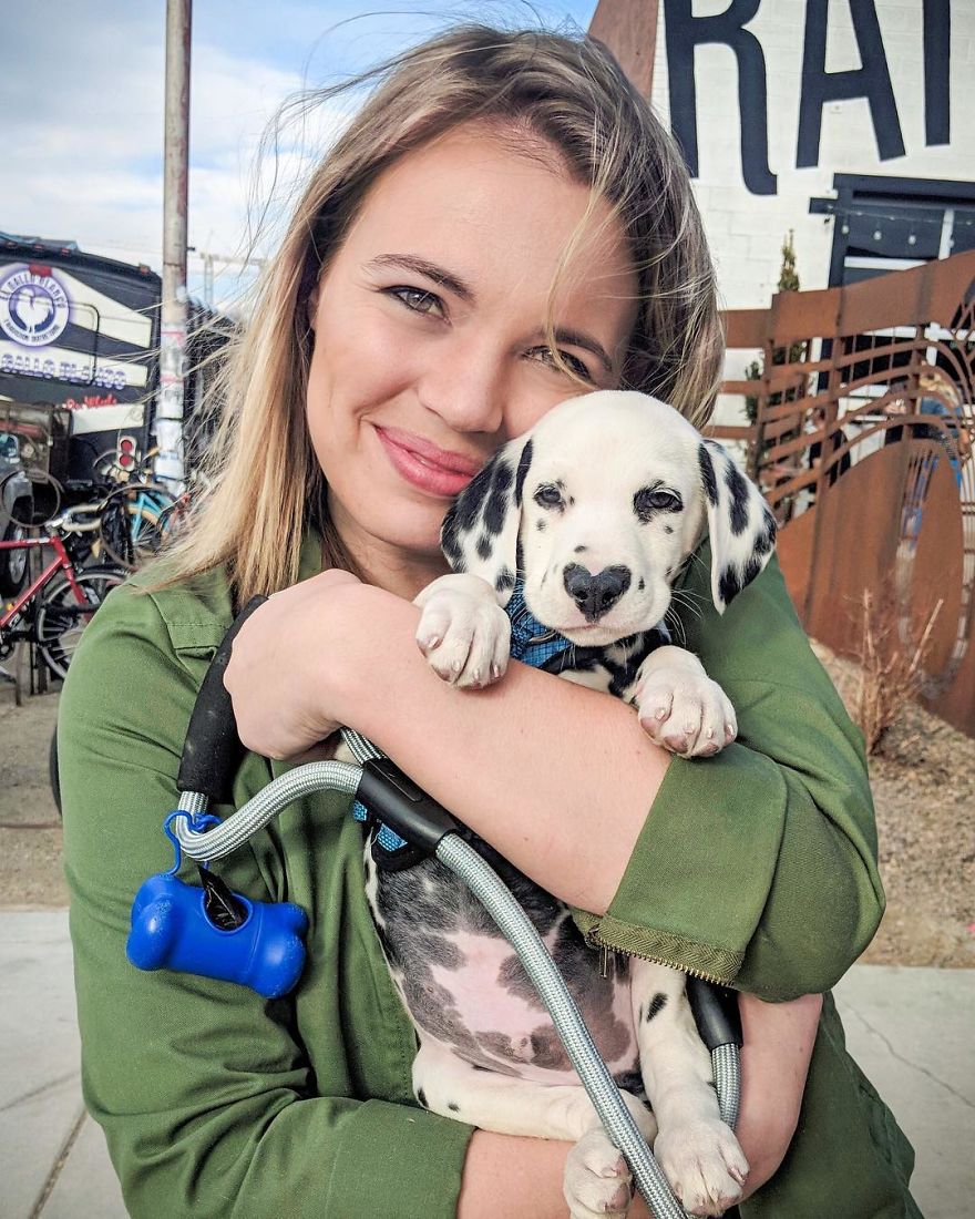 Dog With Heart Mark On Nose Enchants Where It Passes