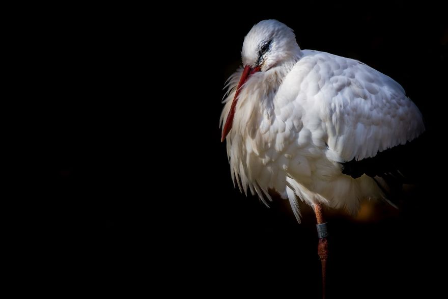 20+ Reasons To Visit Slovenia If You're A Photographer (In Pictures)