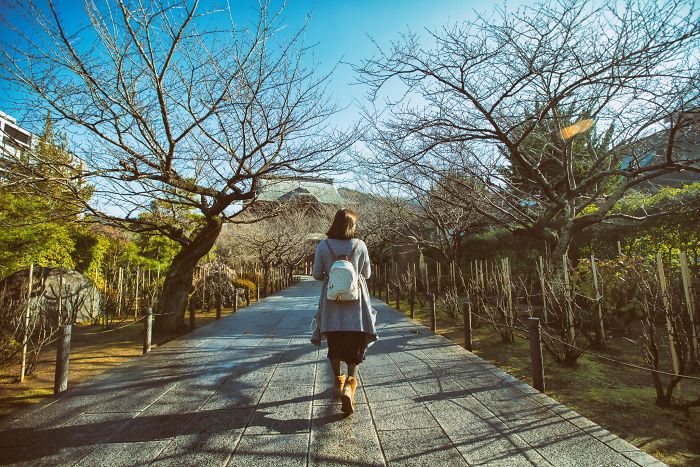 The No-Face Tourist In Japan