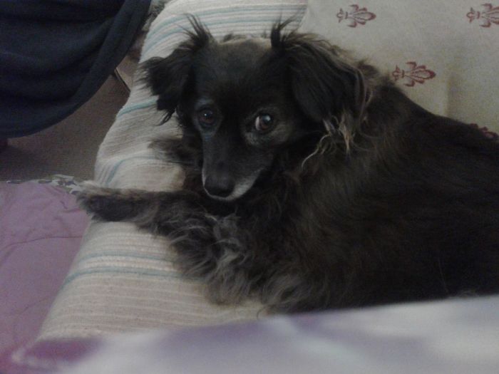 Jess, Also Called Jessie, Jessica, Jessieloo.