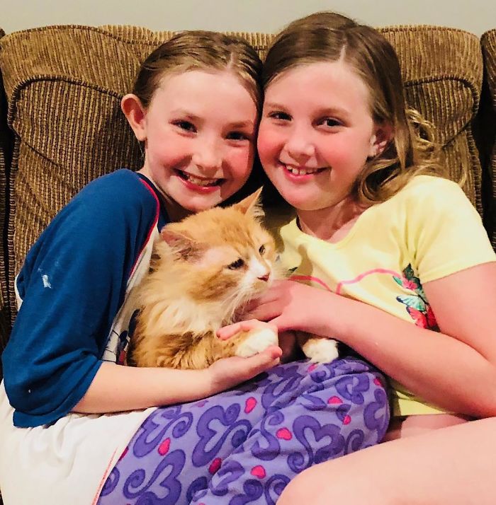 After A Family Abandons Their Cat, He Walks Back 12 Miles Just To Be Rejected Again After A Family Abandons Their Cat, He Walks Back 12 Miles Just To Be Rejected Again