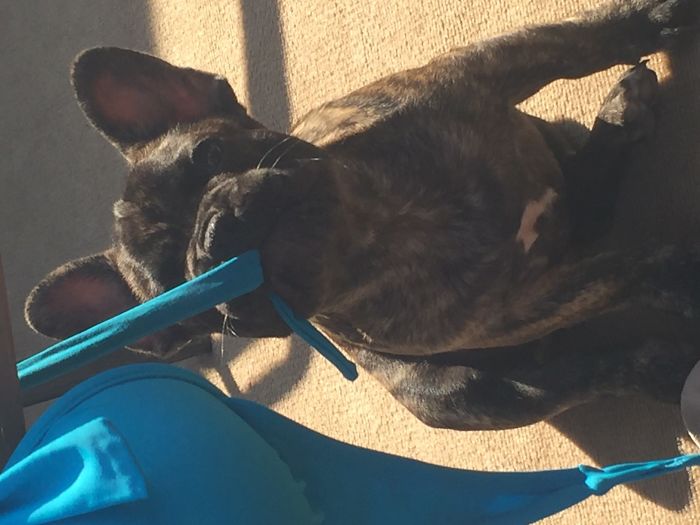 Snatching My Bathing Suit Top