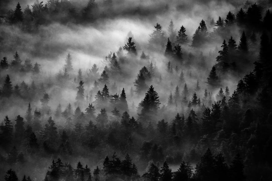 20+ Reasons To Visit Slovenia If You're A Photographer (In Pictures)