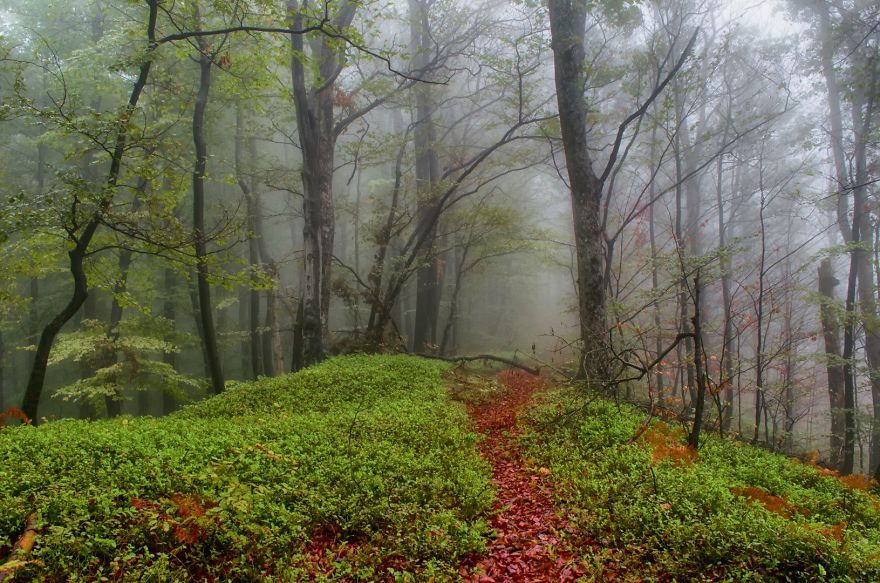 20+ Reasons To Visit Slovenia If You're A Photographer (In Pictures)