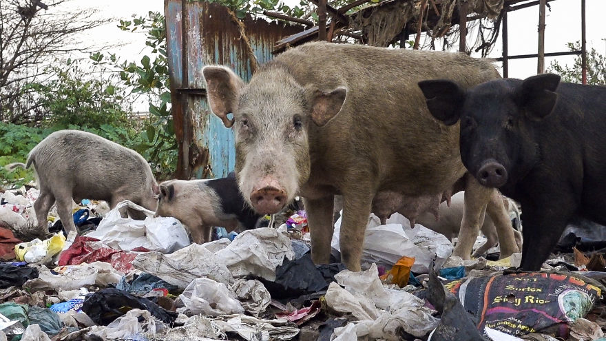 I Lived In The Slums Of Mumbai For 5 Days And This Experience Opened My Eyes I Lived In The Slums Of Mumbai For 5 Days And This Experience Opened My Eyes