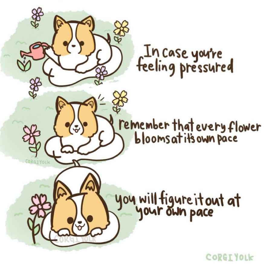 I Combined My Love For Corgis And Eggs Into Comics I Combined My Love For Corgis And Eggs Into Comics