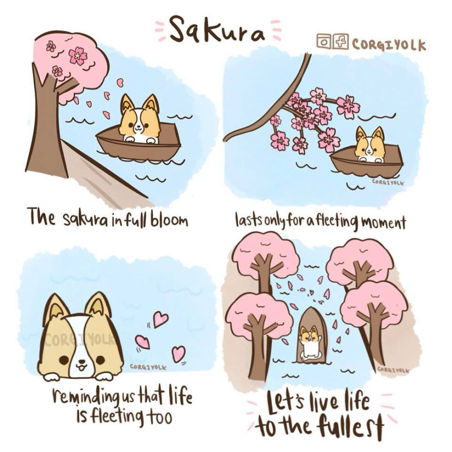 I Combined My Love For Corgis And Eggs Into Comics I Combined My Love For Corgis And Eggs Into Comics