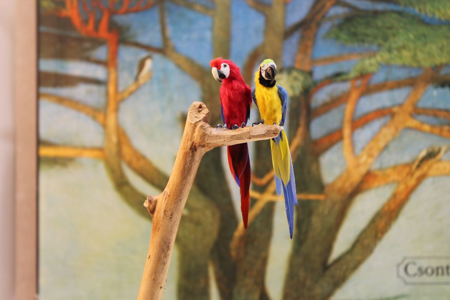 Tiny-Sculptures-Fairies-Miniatures-Katie-Doka