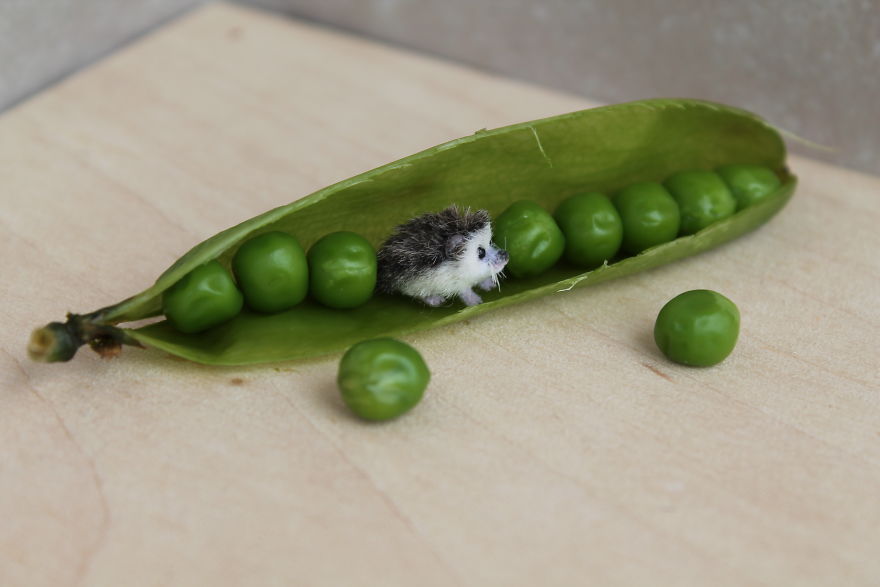 Tiny-Sculptures-Fairies-Miniatures-Katie-Doka