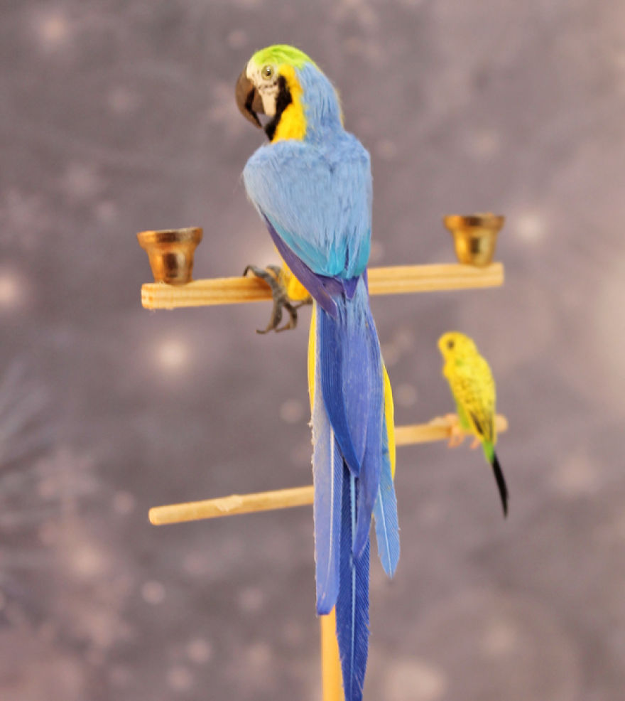 Tiny-Sculptures-Fairies-Miniatures-Katie-Doka